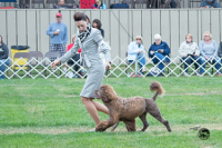 Curry at the 2016 National Specialty