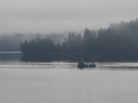 Oyster Scow in the Fog